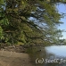 beach_walindi_kb_h_0175_png0219.jpg